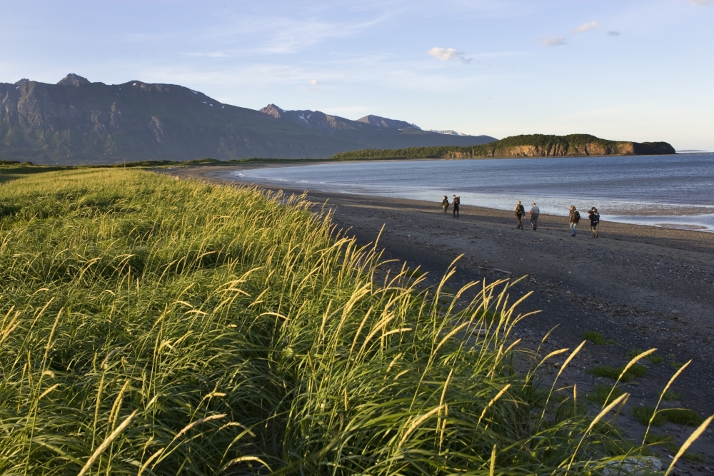 Tourists View Hallo Bay Near The Mouth Of Big River With Yak Peak In The Background Along The Coast Of Katmai National Park Alaska Canvas Art - Don Pitcher  Design Pics (17 x 11)