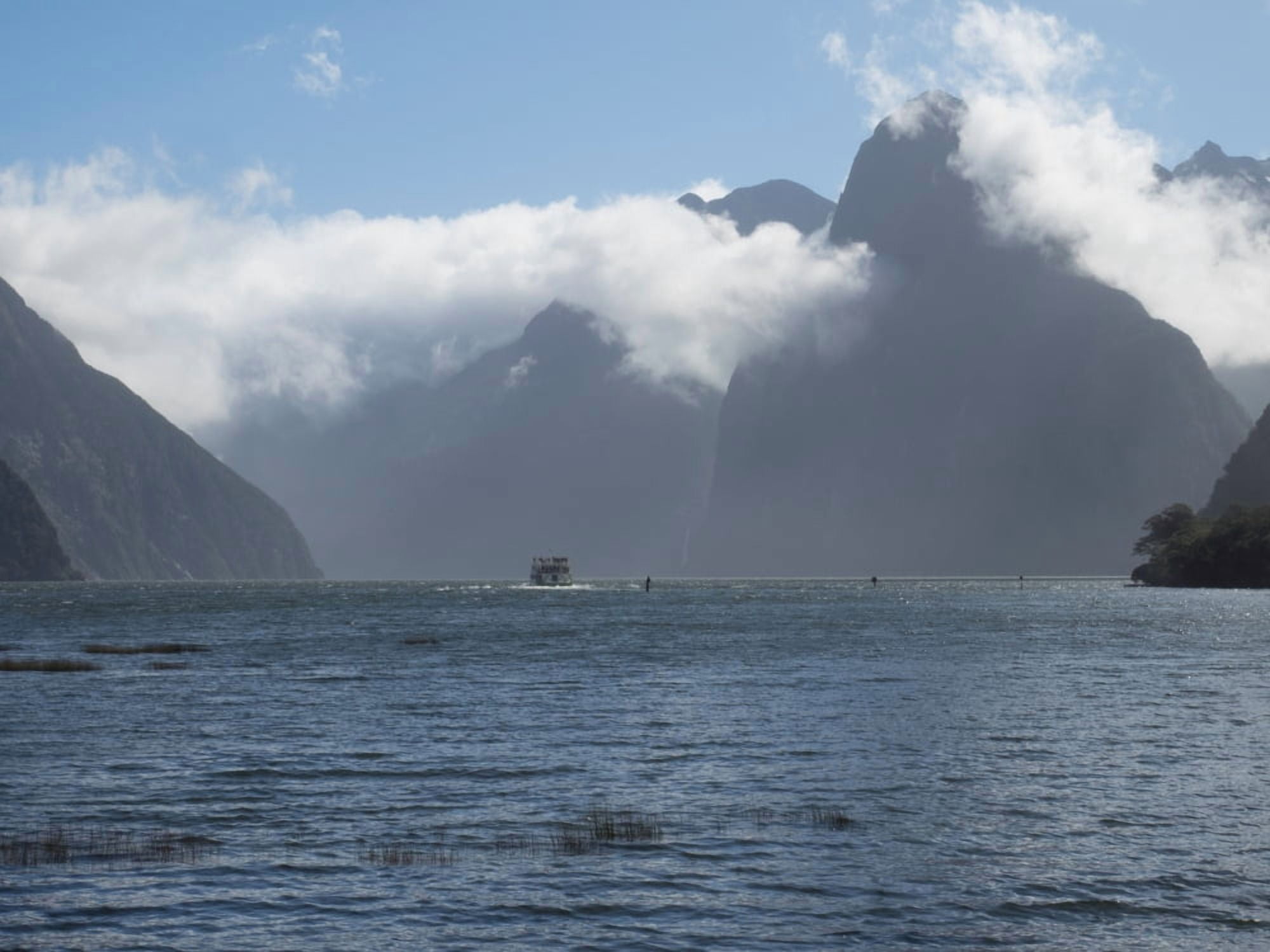 Tourists boat in the sea Milford Sound South Island New Zealand Canvas Art - Panoramic Images (18 x 24)