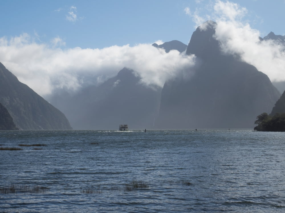 Tourists boat in the sea Milford Sound South Island New Zealand Canvas Art - Panoramic Images (24 x 36)