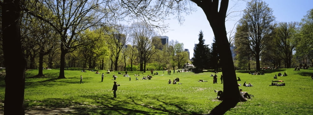 Tourists enjoying in a park Central Park Manhattan New York City New York State USA Canvas Art - Panoramic Images (27 x 9)
