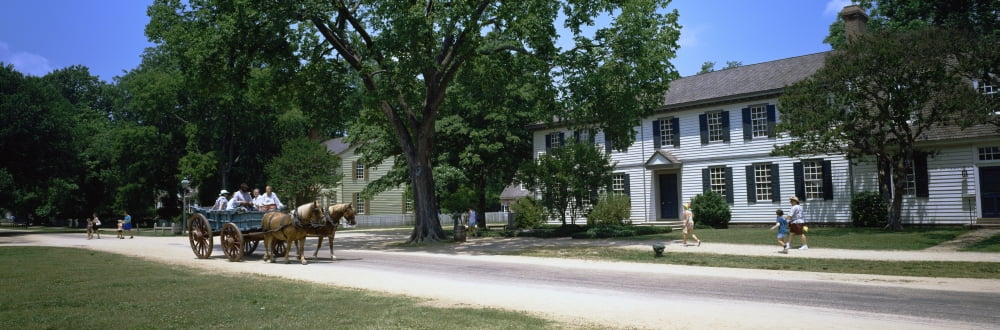 Tourists in a horsedrawn on the road Nicholson Street Colonial Williamsburg Williamsburg Virginia USA Canvas Art - Panoramic Images (12 x 36)