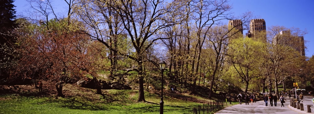 Tourists in a park Central Park Manhattan New York City New York State USA Canvas Art - Panoramic Images (36 x 12)