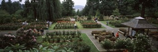 Tourists in a rose garden International Rose Test Garden Washington Park Portland Multnomah County Oregon USA Canvas Art - Panoramic Images (36 x 12)