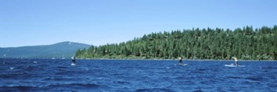 Tourists paddle boarding in a lake Lake Tahoe California USA Canvas Art - Panoramic Images (36 x 12)