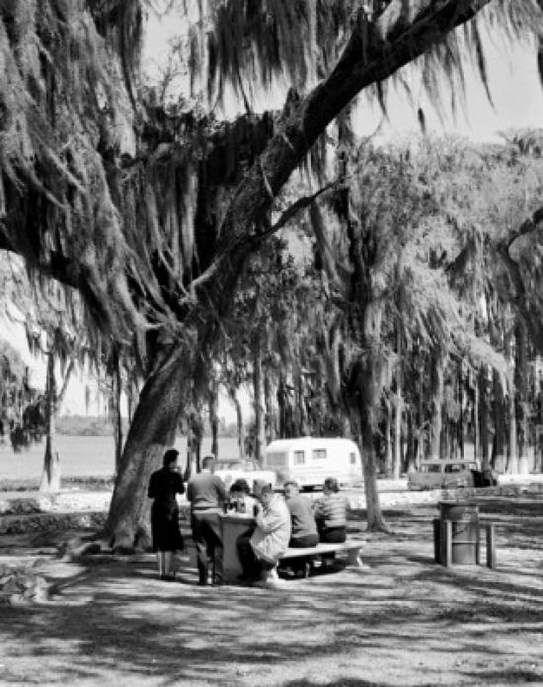 Tourists relaxing in park Canvas Art - (24 x 36)