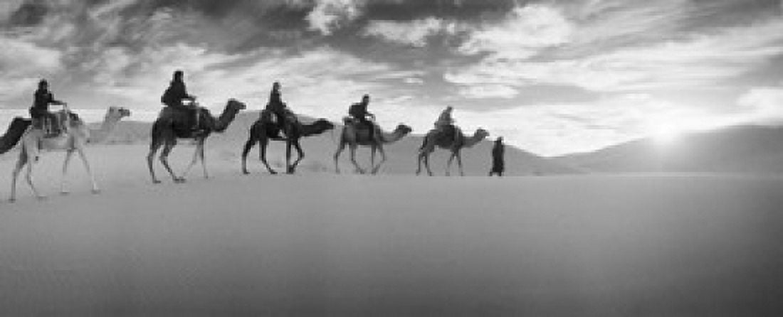 Tourists riding camels through the Sahara Desert landscape led by a Berber man Morocco Canvas Art - Panoramic Images (15 x 6)