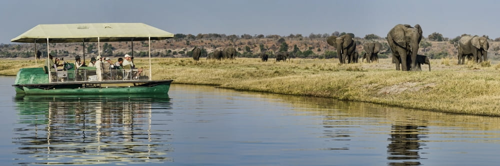 Tourists sitting in a boat taking picture of African Elephants (Loxodonta africana) Chobe River Botswana Canvas Art - Panoramic Images (27 x 9)