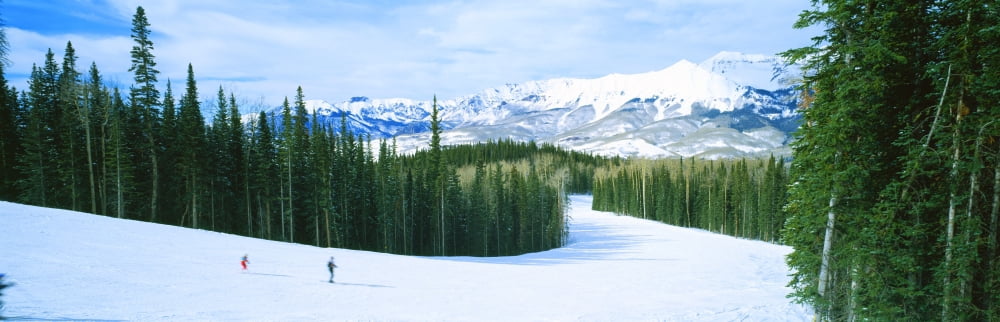 Tourists skiing on a snow covered landscape Telluride San Miguel County Colorado USA Canvas Art - Panoramic Images (27 x 9)