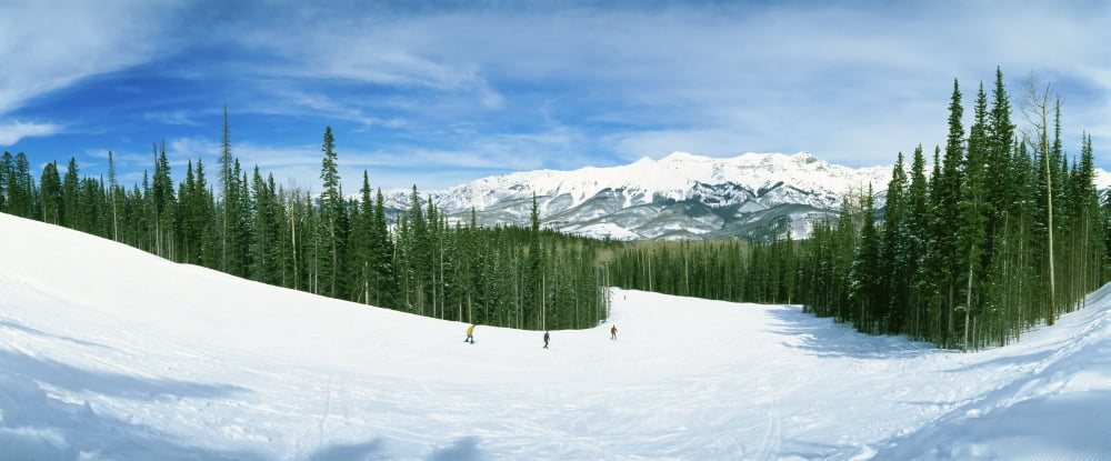 Tourists skiing on a snow covered landscape Telluride San Miguel County Colorado USA Canvas Art - Panoramic Images (36 x 12)