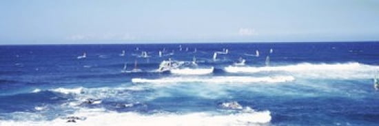 Tourists windsurfing Hookipa Beach Park Maui Hawaii USA Canvas Art - Panoramic Images (36 x 12)