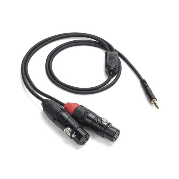 PRO TPA Breakout Cable - 1/8" TRS to Dual XLR Female 3ft