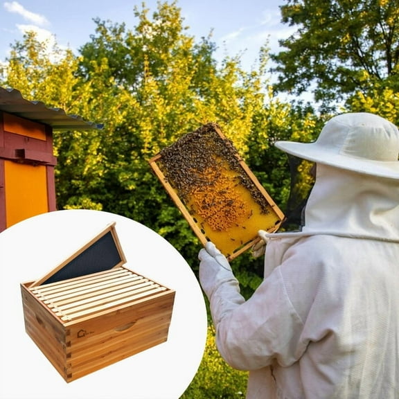 Towallmark 10 Frame Deep Bee Hive Box,Complete Beginner Beehive Kit With Frames & Wax Foundations, Wood Construction With Beeswax Coating