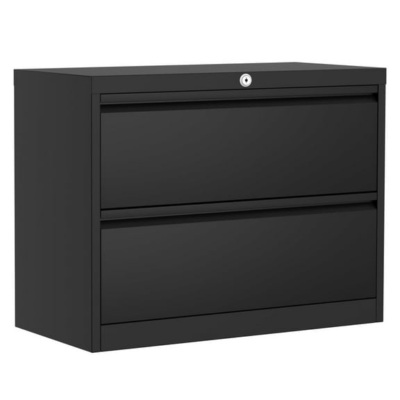 Towallmark 2 Drawer Lateral File Cabinet With Lock, Heavy Duty Metal Filing Cabinet For Letter/Legal/A4 Documents, Locking Office Storage Cabinet, Space Saving Design, Black