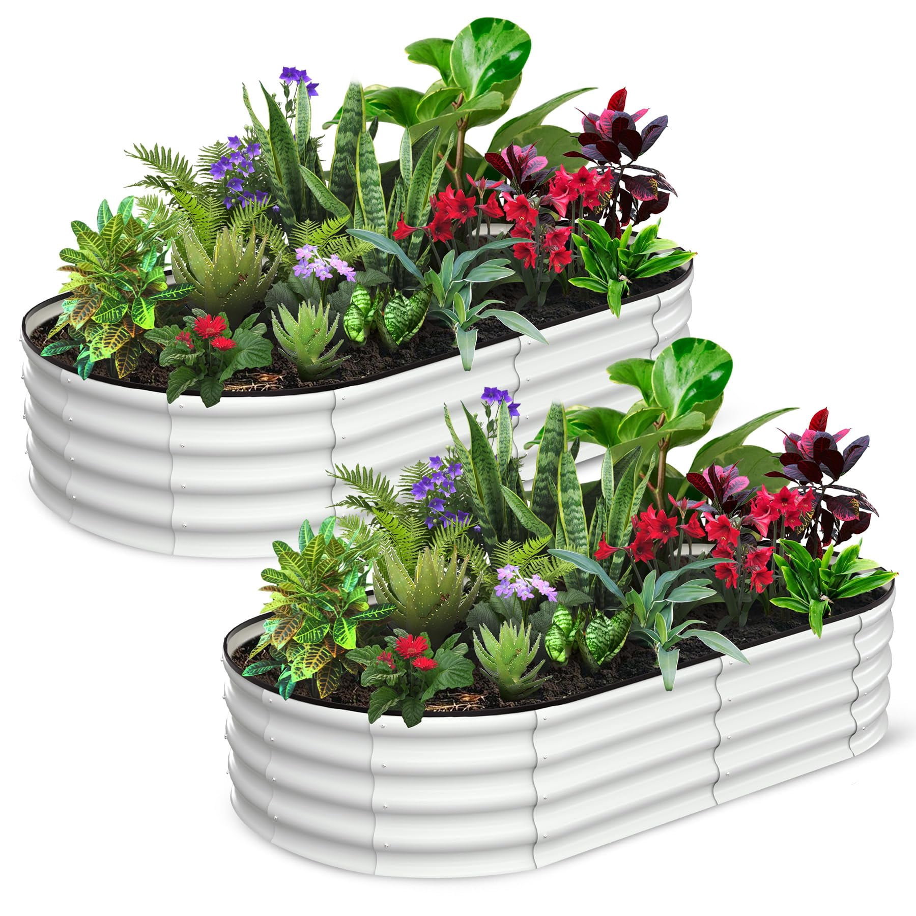 Towallmark 2-Pack Oval Galvanized Steel Raised Garden Beds, Tool-Free Assembly with Open Base & Safety Edge, Large Outdoor Planter Boxes for Vegetables, Flowers, Herbs, Weather-Resistant, 6x3x1FT