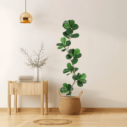 Towallmark 6 ft Artificial Fiddle Leaf Fig Tree, Fake Plant in Black Plastic Pot, Large Fake Tree for Home or Office Decor