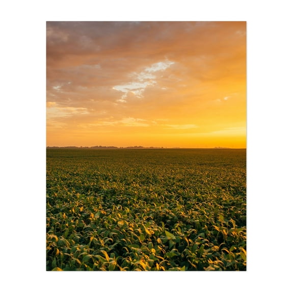Towanda Sunrise 04 - Towanda Illinois Photography Sunset Landscape Nature Rural Scenic Summer Farmhouse Unframed Wall Art Print 20 x 24 inches