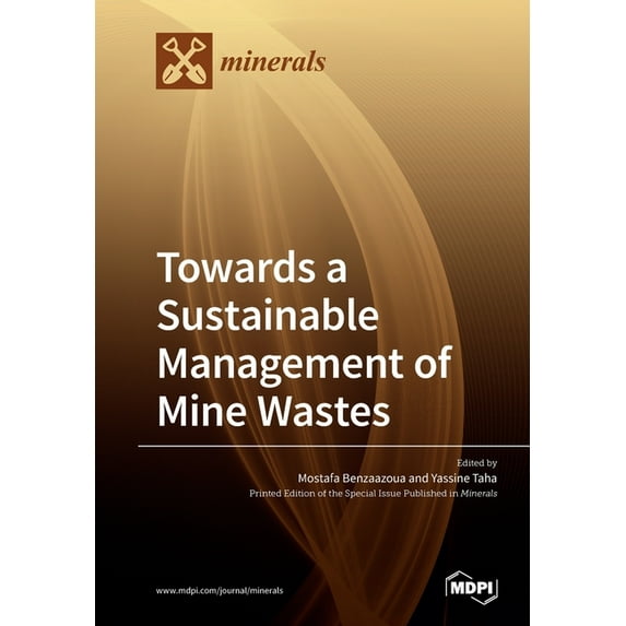 Towards a Sustainable Management of Mine Wastes: Reprocessing, Reuse, Revalorization and Repository, (Paperback)