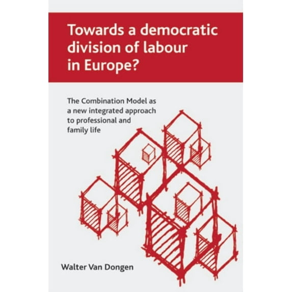 Towards a Democratic Division of Labour in Europe?: The Combination Model as a New Integrated Approach to Professional a, (Paperback)