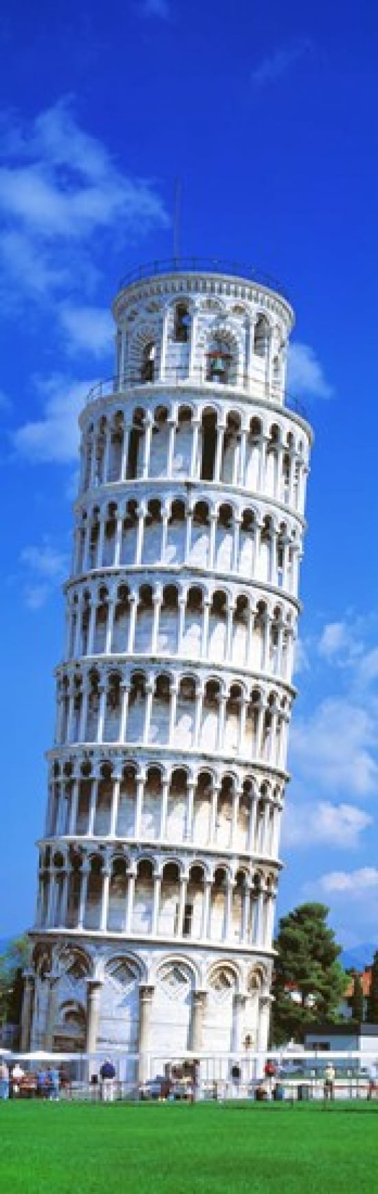 Tower Of Pisa Tuscany Italy Canvas Art - Panoramic Images (36 x 12)