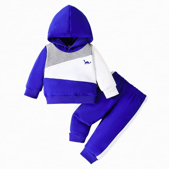 Towmus Boys Sweatsuit Long Sleeve Color Block Hoodie Sweatshirt and Jogger Pants 2PC Sets Fall Clothes Under 3 years old