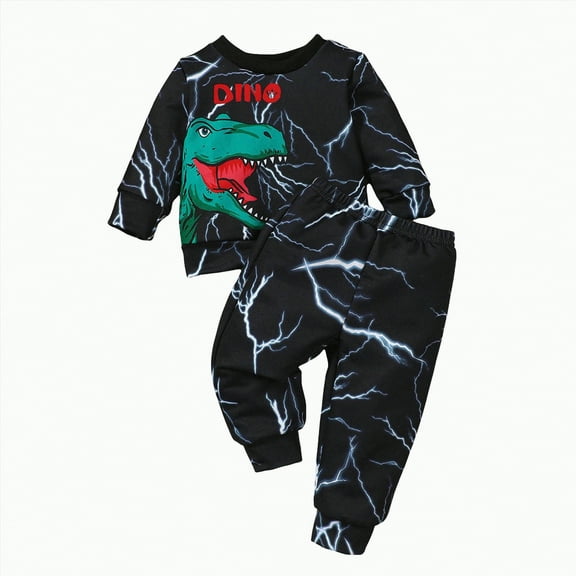Towmus Toddler Baby Boys Dinosaur Clothes Long Sleeve Top & Pants Casual Wear 3-9 Months Fall Outfits Set