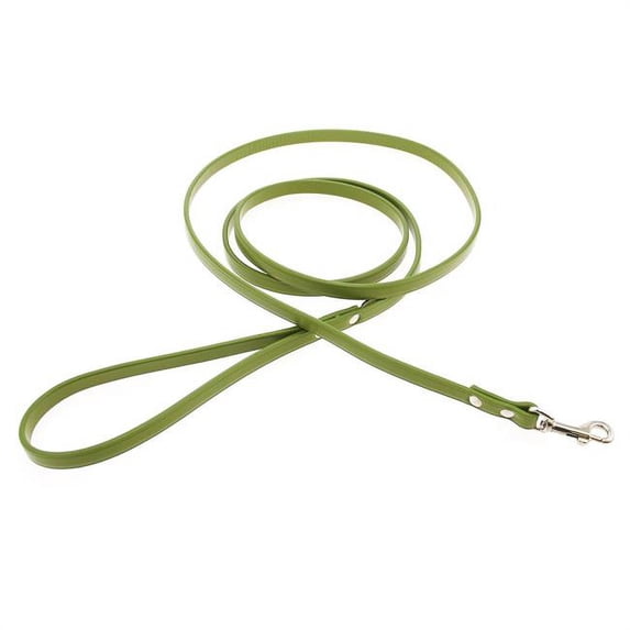 Town Leather Dog Leash by Auburn Leather - Green 3/4" Width x 4' Length