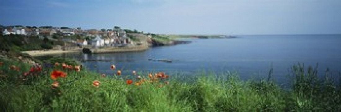 Town at the waterfront Crail Fife Scotland Canvas Art - Panoramic Images (18 x 6)
