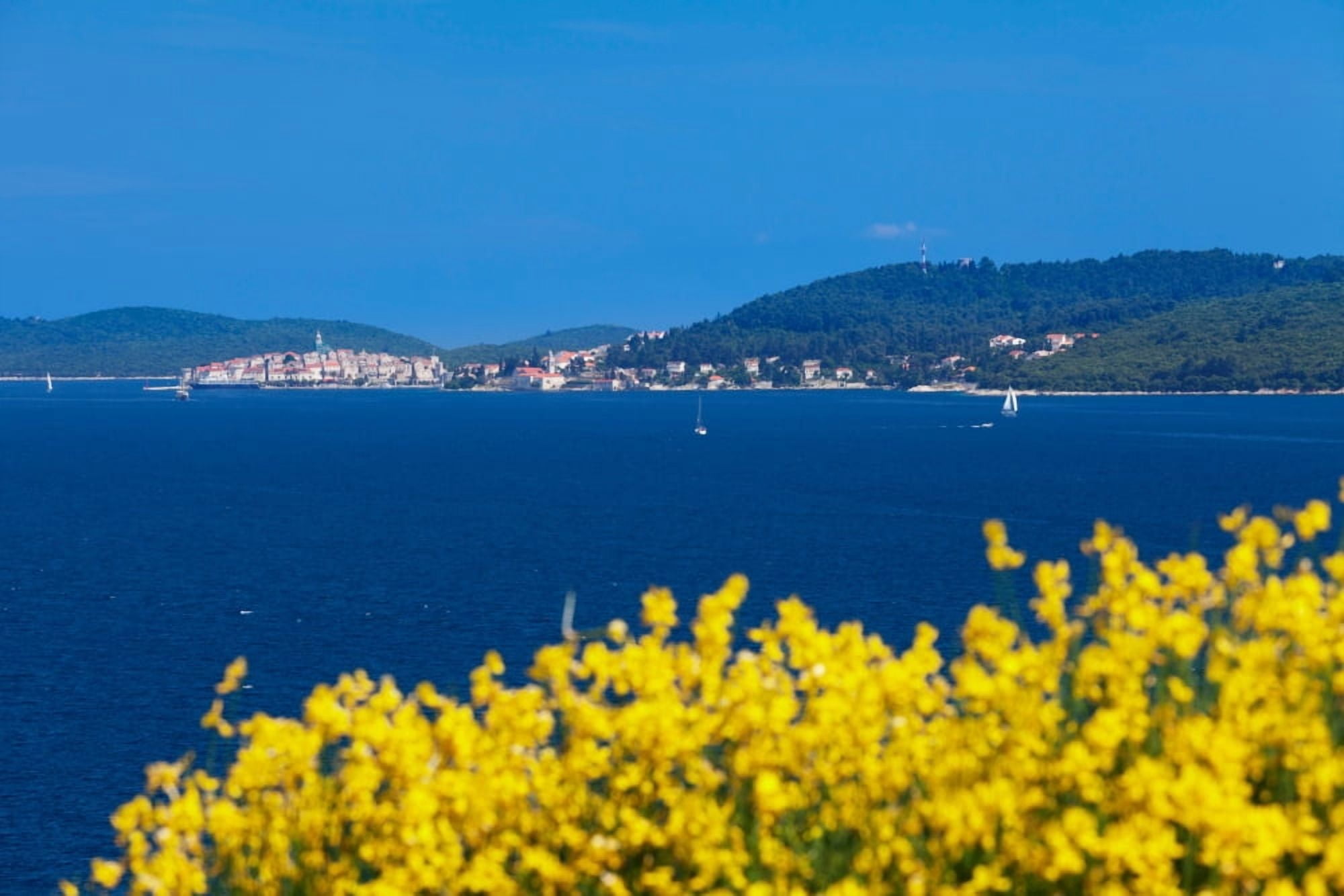 Town on an island Korcula Korcula Island Dalmatia Croatia Canvas Art - Panoramic Images (36 x 12)