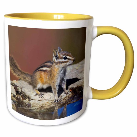 3drose, Townsends Chipmunk, 11oz Two-tone Yellow Mug