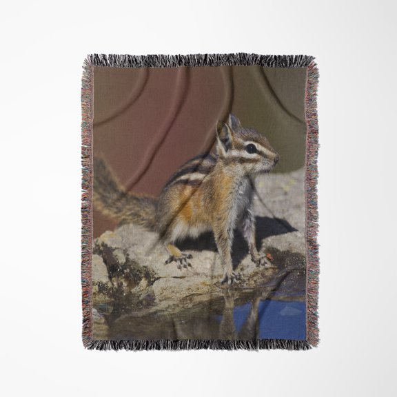Townsends Chipmunk, Woven Blanket