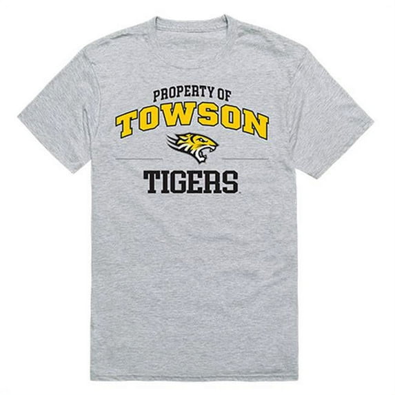 Towson University Property College Tee Shirt - Heather Gray - Small