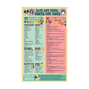 Toxic Foods for Dogs List Safe Foods Chart Educational Poster for Pet Owners Home Kitchen or Veterinary Office Reference Guide