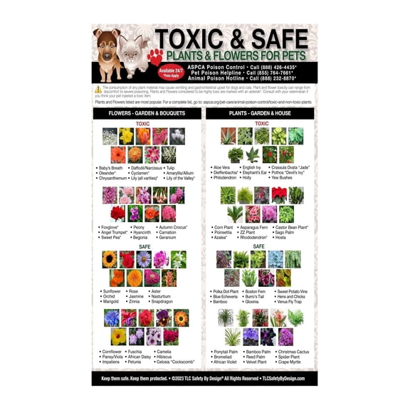 Toxic Plants for Pets Chart Poster Dog Cat Poison Prevention Safe Houseplants Guide Emergency Care Reference Home Veterinary Wall Art Decor