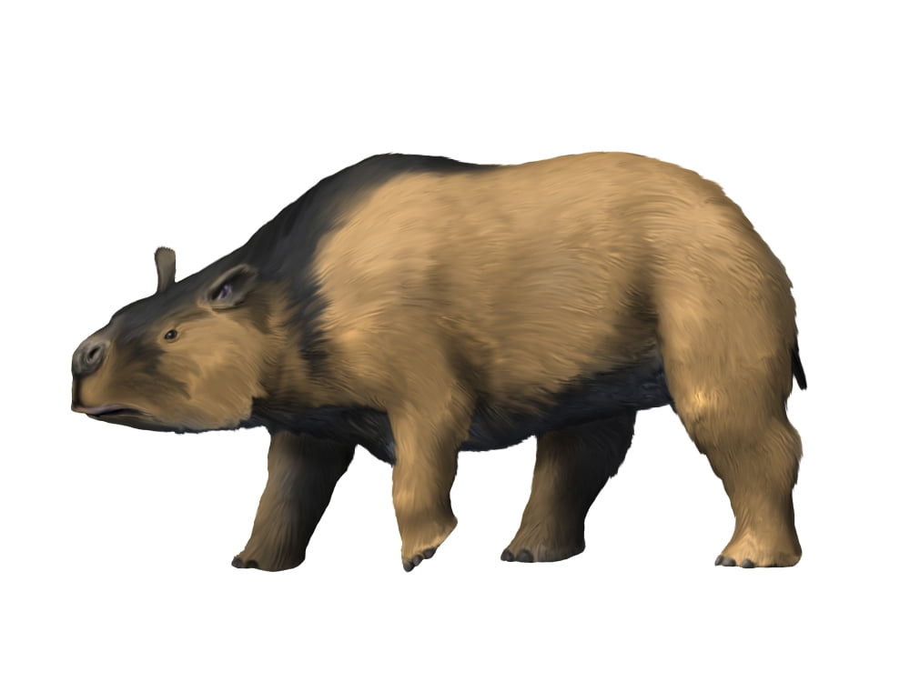 Toxodon is an extinct mammal from the Pleistocene epoch Canvas Art - Nobumichi TamuraStocktrek Images (33 x 25)