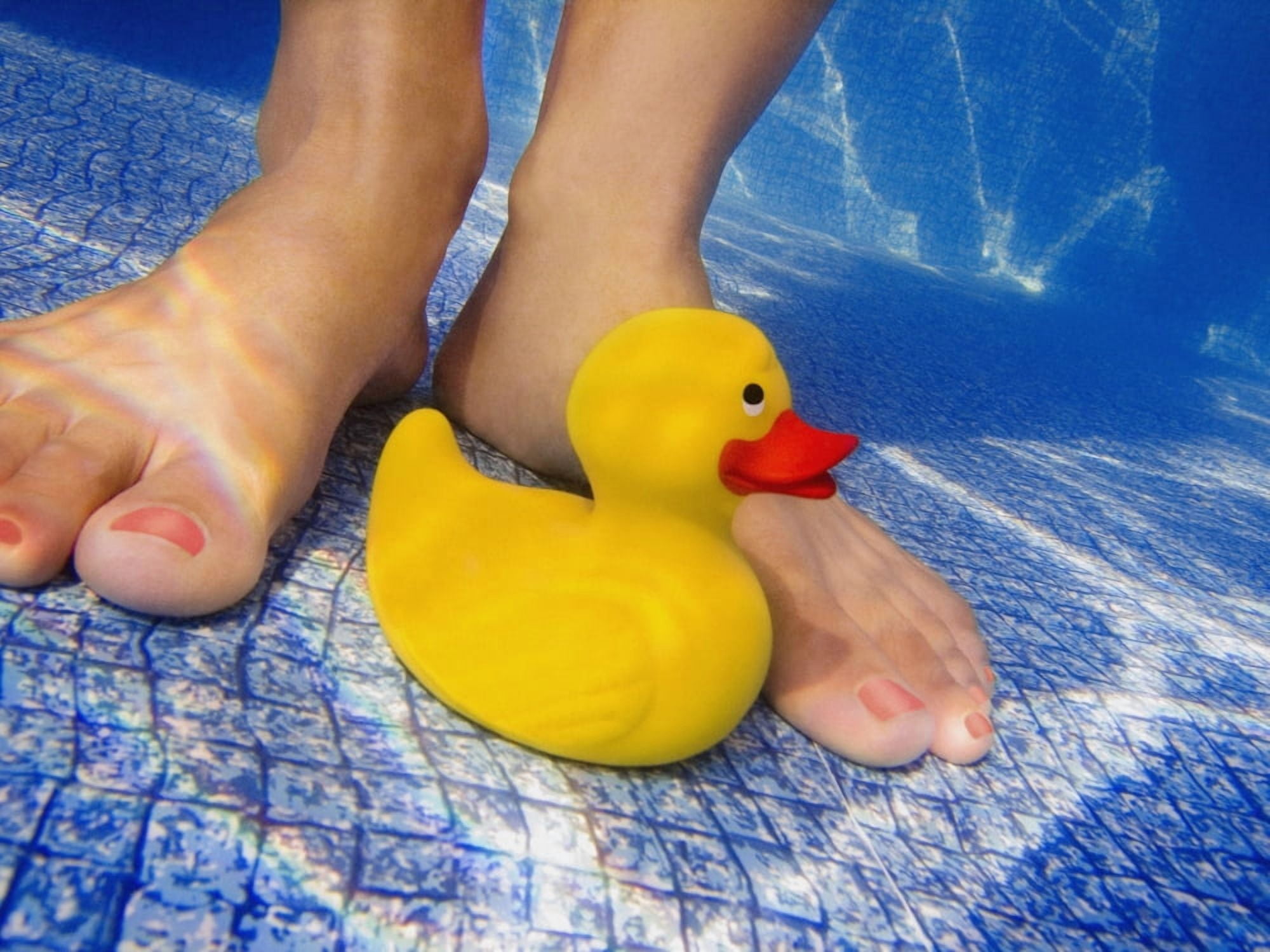 Toy At The Bottom Of A Pool Canvas Art - Don Hammond Design Pics (16 x 12)