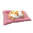 thumbnail image 1 of Toy Cat in Sleeping Doll — Cute Mini Cat in Shoe with Meows Sounds Cozy Sleepy Kitty for Kids and Teens, 1 of 7