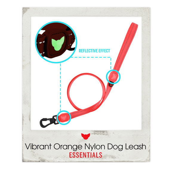 Toy Doggie Essential Reflective Dog Leash - 1 in Width x 4 ft Length - Orange Medium Size for Small to Big Dogs