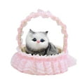 thumbnail image 1 of Toy Funny Cat in Lace Hanging Doll Mini Meows Sounds Sleeping Kitty Toy for Kids Boys Girls, 1 of 9