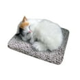thumbnail image 1 of Toy Funny Sleeping Cat in Mattress Toy - Mini Meowing Shoe for Kids Cute and Cuddly for Boys and Girls, 1 of 4