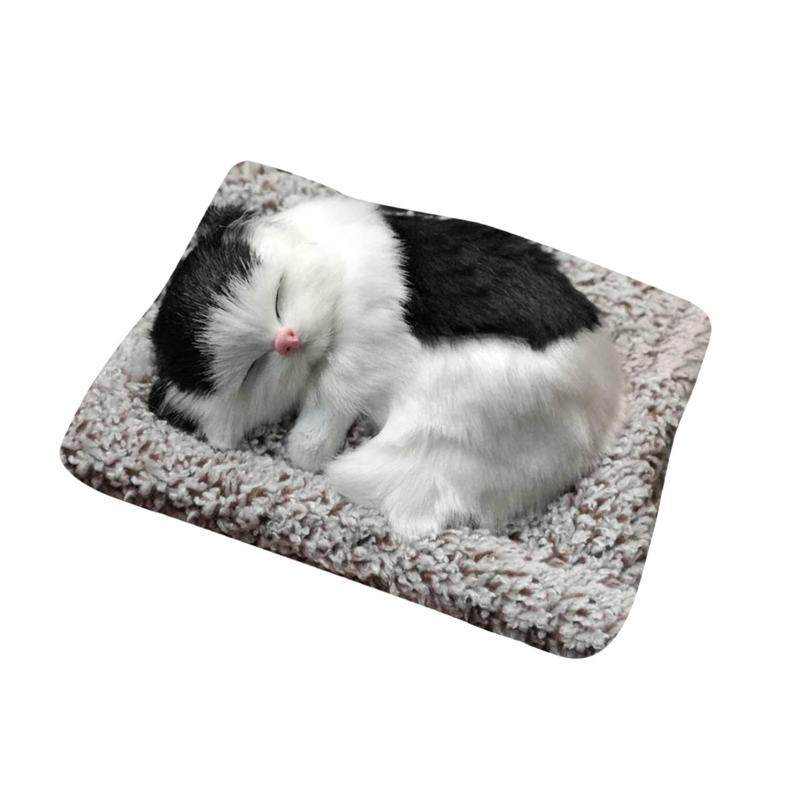 Picture of Toy Funny Sleeping Toys Cat In The Mattress Mini Cat In Shoe Meowing ...