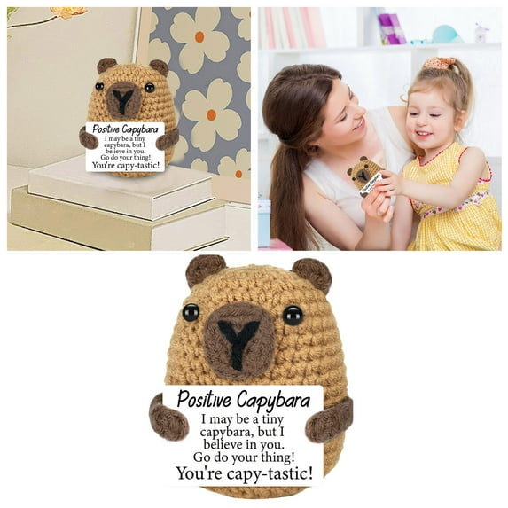 Toy Handmade Crochet Teacher Appreciation Graduation Back to School Birthday Retirement Capybara Animal for Adults and Children