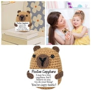 Toy Handmade Crochet Teacher Appreciation Graduation Back to School Birthday Retirement Capybara Animal for Adults and Children