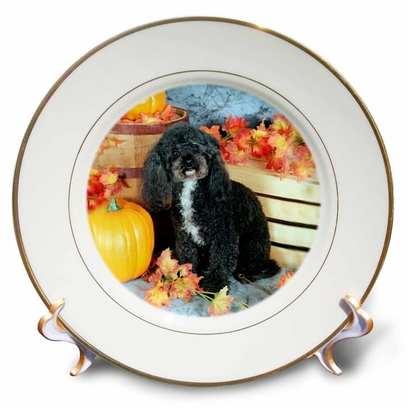 3dRose, Toy Poodle Black, 8 inch Porcelain Plate