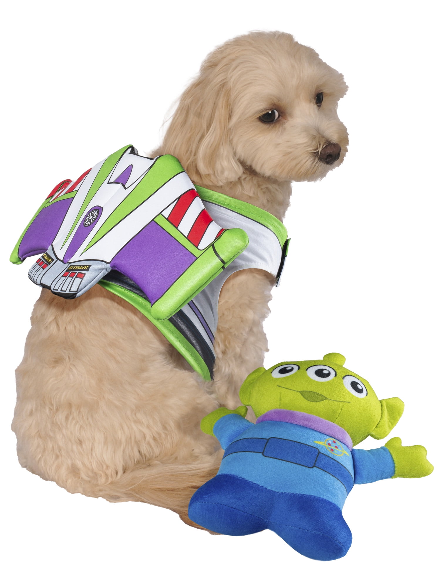 Buzz top lightyear dog