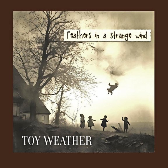 Toy Weather Feathers in a Strange Wind (CD) Album