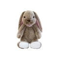thumbnail image 1 of ToyKingdee Adorable Floppy Ear Bunny Plush with Decorative Bandana, Soft Cuddly Stuffed Animal for Kids and Gifting, 1 of 6