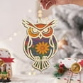 thumbnail image 1 of ToyKingdee Sea Turtle Acrylic Suncatcher Ornament, Sea Turtle Gifts for Women, Beach Gifts, Beach Christmas Ornaments for Tree, White Elephant Presents for Friendship, 1 of 6