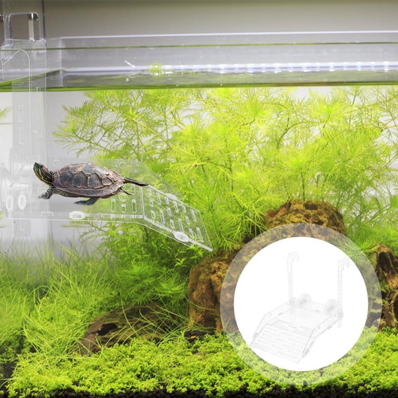 Toyandona Acrylic Turtle Platform Transparent for Climbing and Basking Practical Gift for Pets