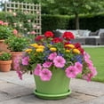 thumbnail image 1 of Toycle Ruffled Plastic Flower Pots Lilies-style Wave-edged Pots Beautiful And Durables Indoor And Outdoor Flower Pots(G,Plastic), 1 of 6