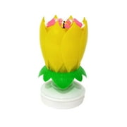 Toyfunny Music Candle Double Flower BlossomS Birthday Cake Flat Rotating Electronic